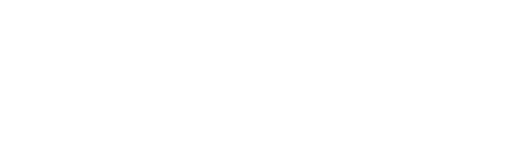 DELGON Distribuidora